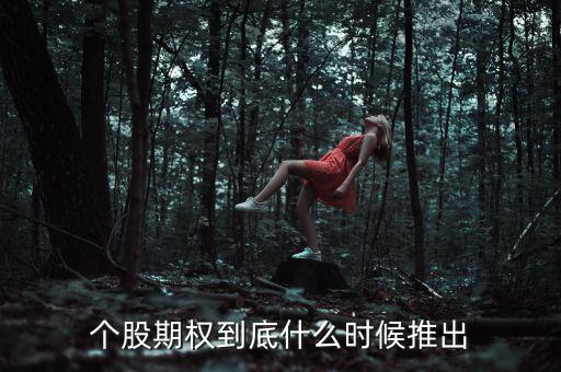 什么時候推出個股期權，股票期權什么時間開始
