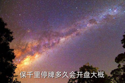 保千里什么時間上市，保千里什么時候復牌