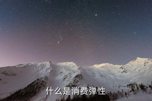 什么是消費彈性，什么是消費彈性