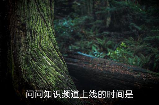 愛(ài)網(wǎng)貸平臺(tái)什么時(shí)候上線，問(wèn)問(wèn)知識(shí)頻道上線的時(shí)間是