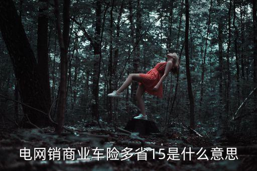 電網(wǎng)銷是什么意思，電網(wǎng)銷商業(yè)車險(xiǎn)多省15是什么意思