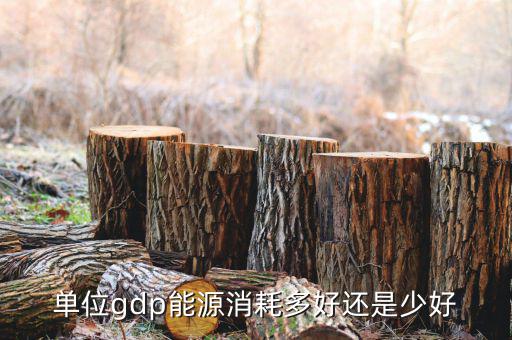 單位GDP越高說明什么，GDP代表著什么