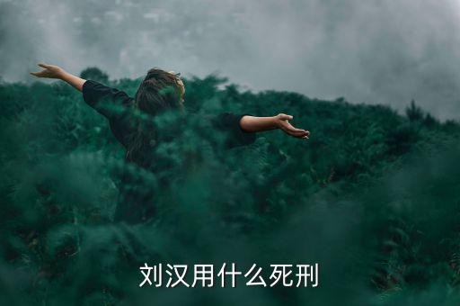 劉漢什么罪，劉漢用什么死刑