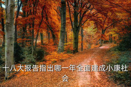 到2020年全面小康什么時候提出的，我國基本小康實現(xiàn)的時間