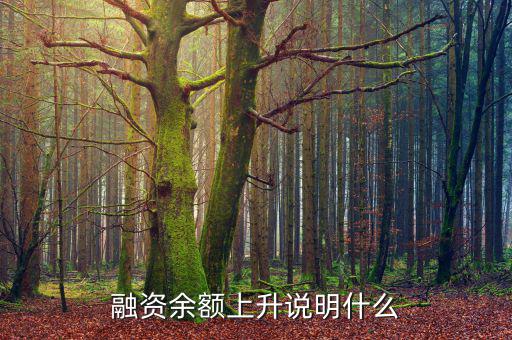 濰柴融資額度很高說明什么，融資余額上升說明什么