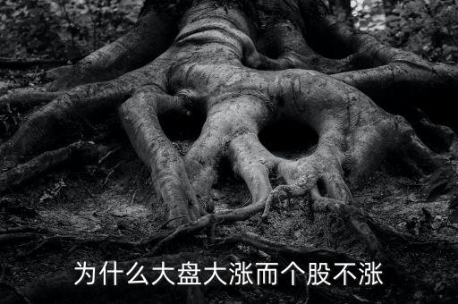 板塊都漲我的個(gè)股不長(zhǎng)什么原因，為什么大盤大漲而個(gè)股不漲