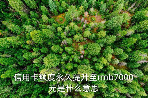 信用卡永久額度是什么意思，信用卡額度永久提升至rmb7000元是什么意思
