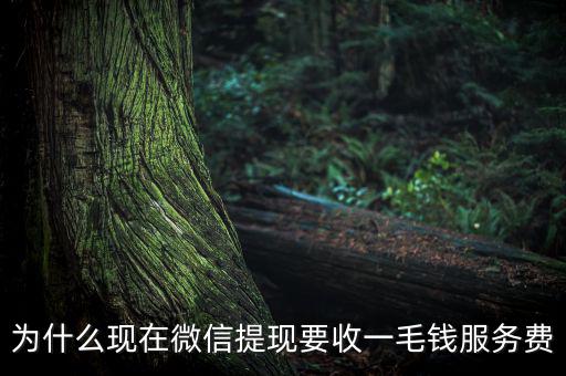 微信提現(xiàn)為什么要收費(fèi)，為什么現(xiàn)在微信提現(xiàn)要收一毛錢(qián)服務(wù)費(fèi)