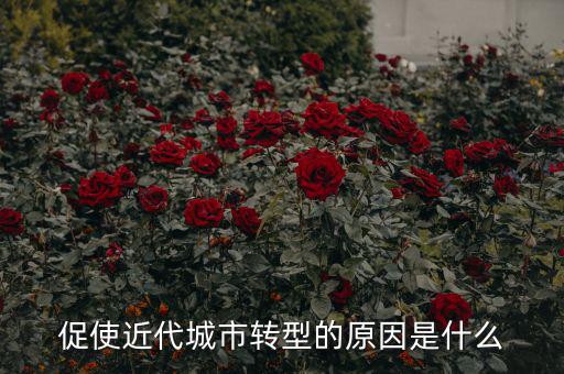 為什么城鎮(zhèn)化要轉型，促使近代城市轉型的原因是什么