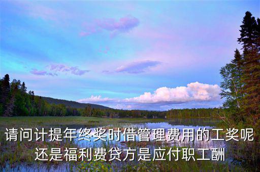 計提獎金是什么意思，請問計提年終獎時借管理費用的工獎呢還是福利費貸方是應(yīng)付職工酬