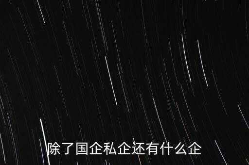 除了國企私企還有什么企