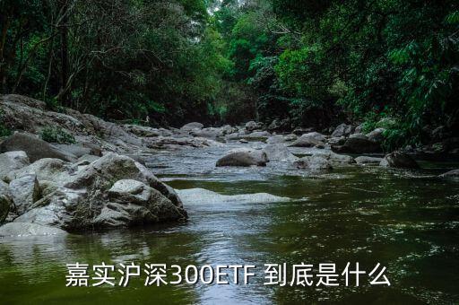 深證etf是什么，ETF 是什么意思