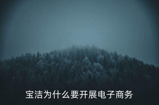寶潔為什么要開展電子商務