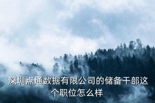  深圳點(diǎn)通數(shù)據(jù)有限公司的儲備干部這個職位怎么樣