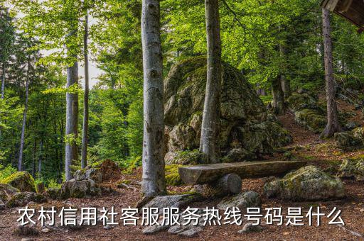 農(nóng)村信用社客服服務(wù)熱線(xiàn)號(hào)碼是什么