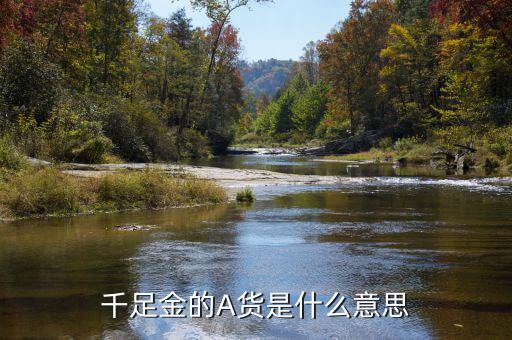 黃金滬幣a是代表什么，千足金的A貨是什么意思