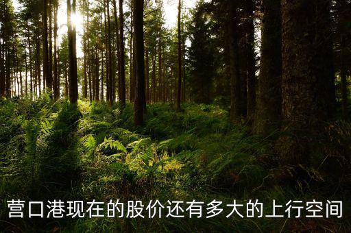 營口港為什么漲停，營口港股票怎么了
