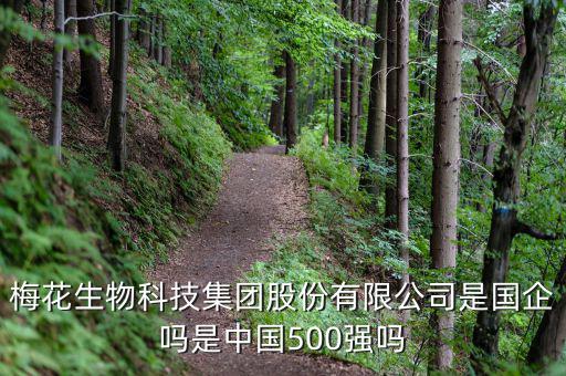 梅花生物是什么板塊，梅花生物科技集團(tuán)股份有限公司是國(guó)企嗎是中國(guó)500強(qiáng)嗎