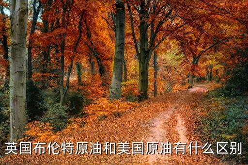 布油與美國原油有什么不同，英國布倫特原油和美國原油有什么區(qū)別
