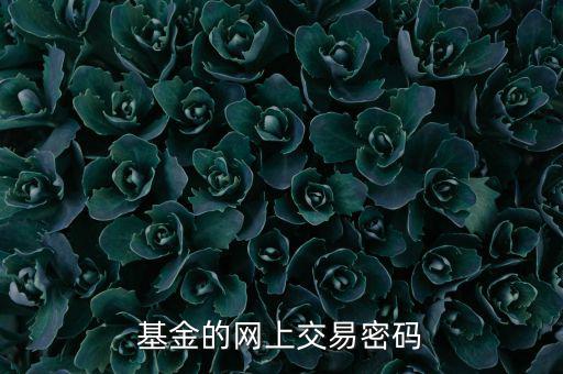 基金交易密碼是什么，基金的網(wǎng)上交易密碼