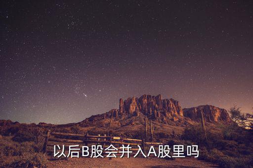 以后B股會并入A股里嗎