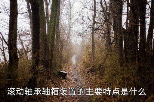什么是軸箱軸承，什么是軸承