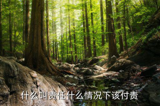 什么叫支出責(zé)任，什么叫責(zé)任什么情況下該付責(zé)