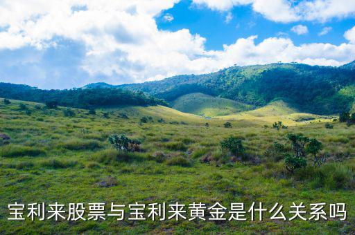 為什么寶利來大漲，寶利來會漲嗎