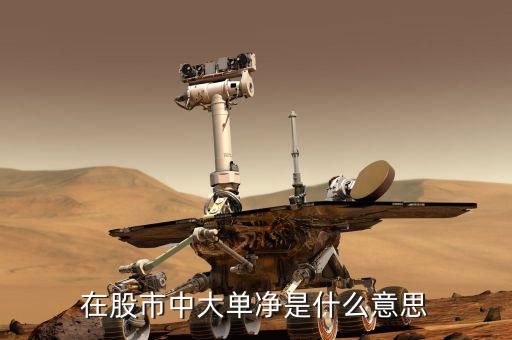 大單凈值什么意思，大單凈比是什么意思