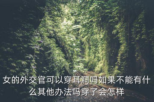中國女領(lǐng)導(dǎo)人外交應(yīng)該穿什么走出去，外交禮儀中必須穿寄鞋帶的皮鞋么