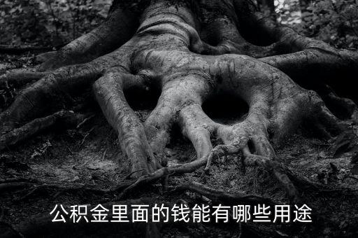 公積金帳戶錢(qián)怎么用,房子怎么用公積金?一文看懂