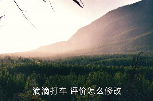  滴滴打車 評價怎么修改