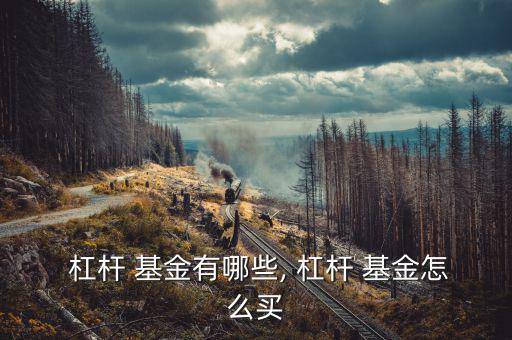  杠桿 基金有哪些, 杠桿 基金怎么買(mǎi)