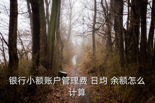 銀行小額賬戶(hù)管理費(fèi) 日均 余額怎么計(jì)算