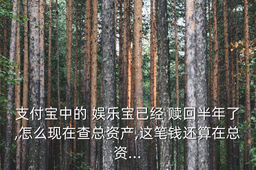 支付寶中的 娛樂(lè)寶已經(jīng) 贖回半年了,怎么現(xiàn)在查總資產(chǎn),這筆錢還算在總資...