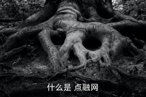 點(diǎn)融網(wǎng)怎么申請(qǐng)貸款,貸款產(chǎn)品相對(duì)較少人人貸貸款額度為20萬