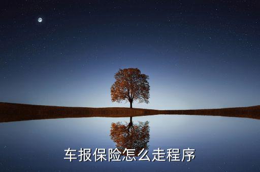 車(chē)險(xiǎn)怎么走,汽車(chē)保險(xiǎn)怎么辦?