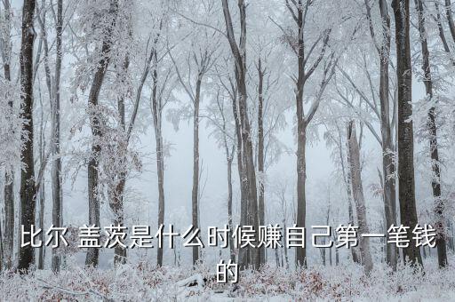 比爾 蓋茨是什么時(shí)候賺自己第一筆錢(qián)的