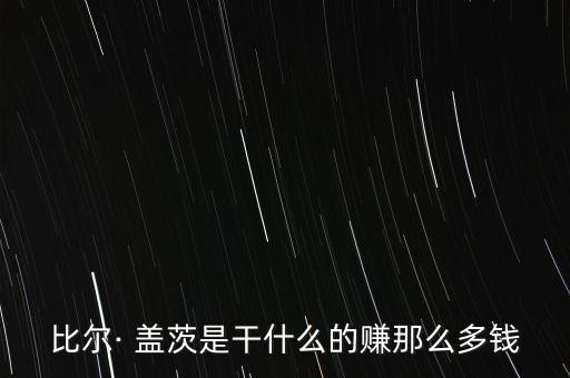 比爾· 蓋茨是干什么的賺那么多錢(qián)