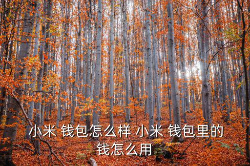  小米 錢(qián)包怎么樣 小米 錢(qián)包里的錢(qián)怎么用