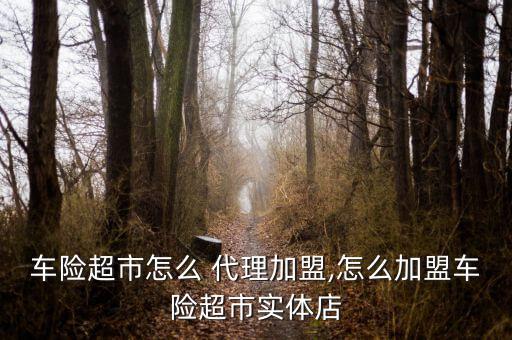 怎么開(kāi)車險(xiǎn)代理門店,網(wǎng)上車險(xiǎn)須自己辦理代理人技術(shù)比較全面!