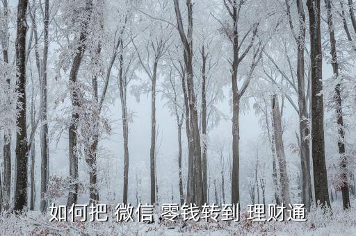 如何把 微信 零錢轉(zhuǎn)到 理財(cái)通