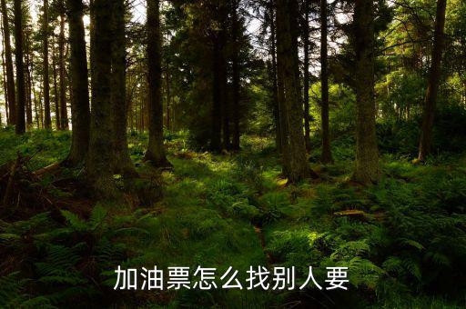 加油票怎么找別人要