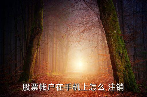 怎么注銷同花順手機(jī)號(hào),怎么綁定同花順賬號(hào)?可以這樣做!