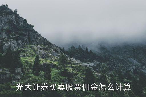  光大證券買賣股票傭金怎么計(jì)算