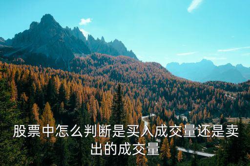  股票中怎么判斷是買(mǎi)入成交量還是賣出的成交量
