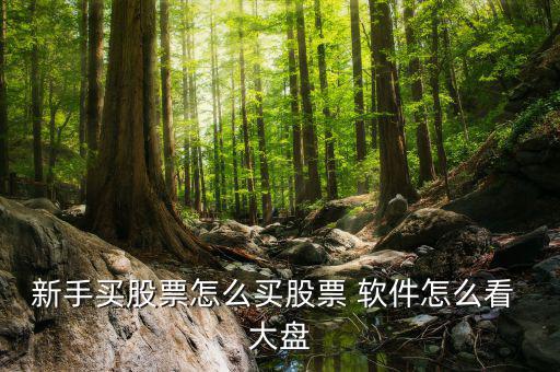 新手買股票怎么買股票 軟件怎么看 大盤(pán)