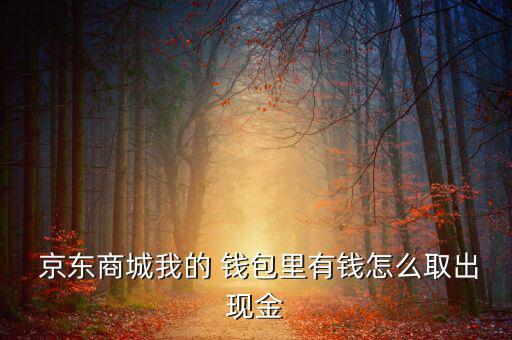 京東錢(qián)包的錢(qián)怎么提現(xiàn),部分商城賬戶(hù)余額升級(jí)為京東小金庫(kù)余額