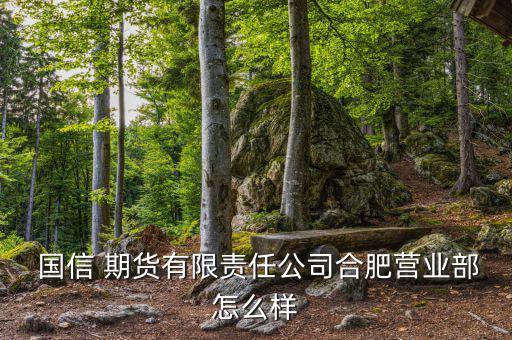 南陽國信期貨怎么樣,國信期貨有限責(zé)任公司處于開業(yè)狀態(tài)