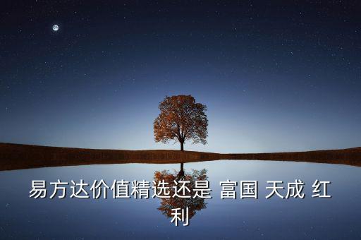 易方達(dá)價(jià)值精選還是 富國(guó) 天成 紅利